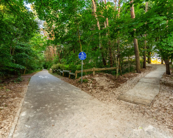 LUB08104-HDR